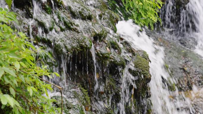 瀑布流水绿植自然植物