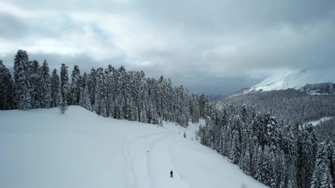 这架无人机正在积雪覆盖的高大冷杉树之间的滑雪场上空飞行。滑雪和单板滑雪爱好者沿着高速公路骑行