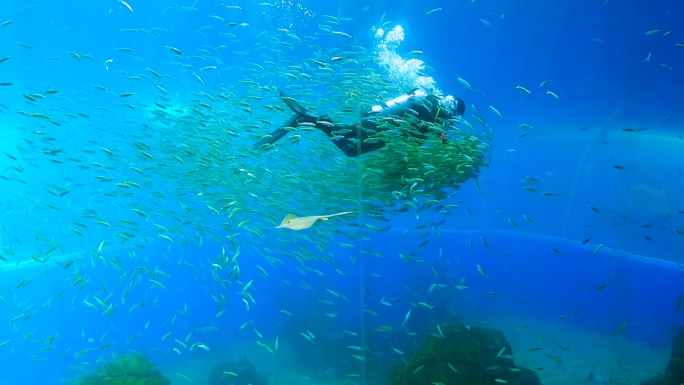 海底世界 潜水员 梦幻海洋馆