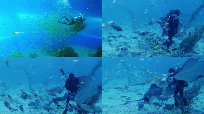海底世界 潜水员 梦幻海洋馆