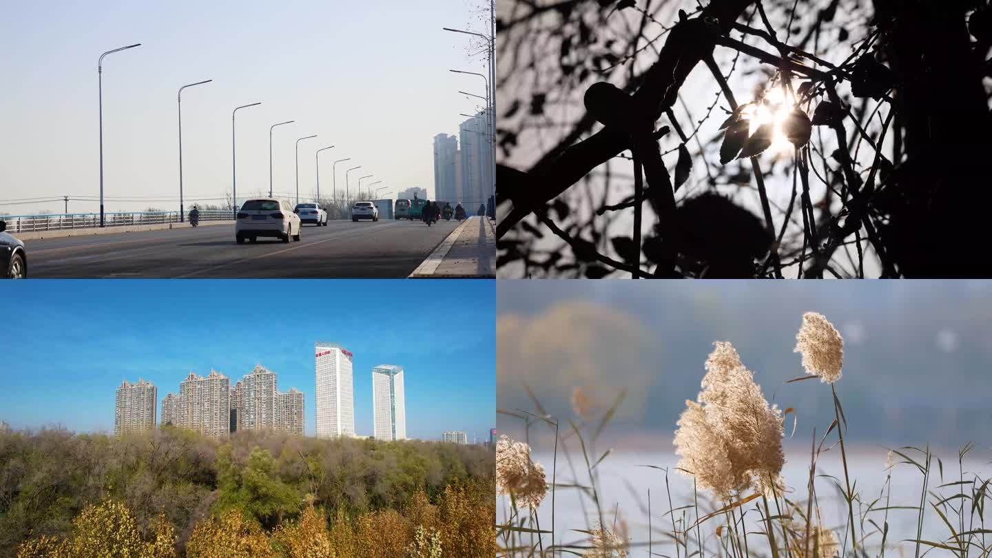 初冬萧条马路桥河流风景晴天芦苇秋天落叶