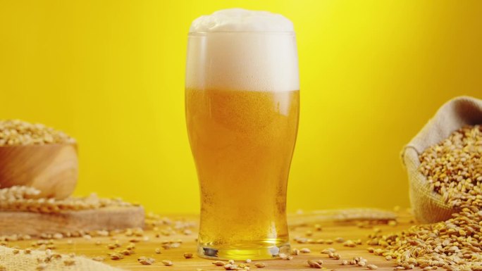 泡沫啤酒在玻璃特写。酒精金色啤酒杯喝。新鲜的淡色麦酒，黄色背景和小麦。