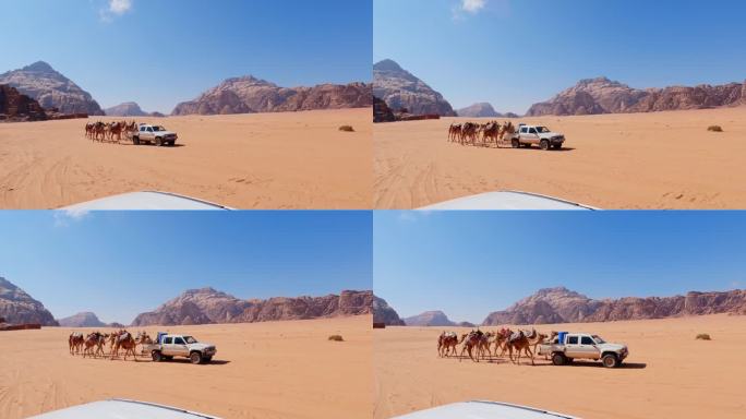 在约旦的瓦迪拉姆沙漠，小卡车引导骆驼商队
