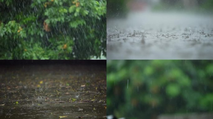 下雨雨天春雨小雨清明时节