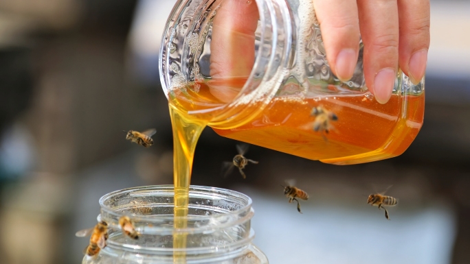 大自然的馈赠荞麦蜂蜜