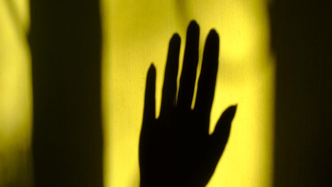 模糊的阴影女性手在黄色墙壁背景与线条花卉图案。抽象，漏光。大气的心情