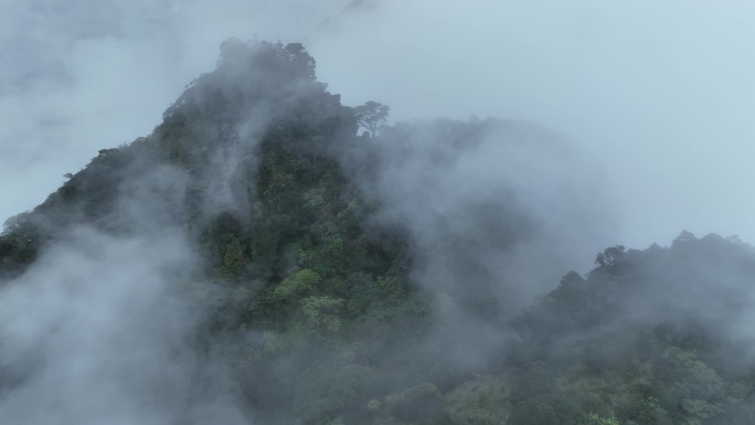 航拍云雾之中的山峰仙气云海广西风景圣堂山