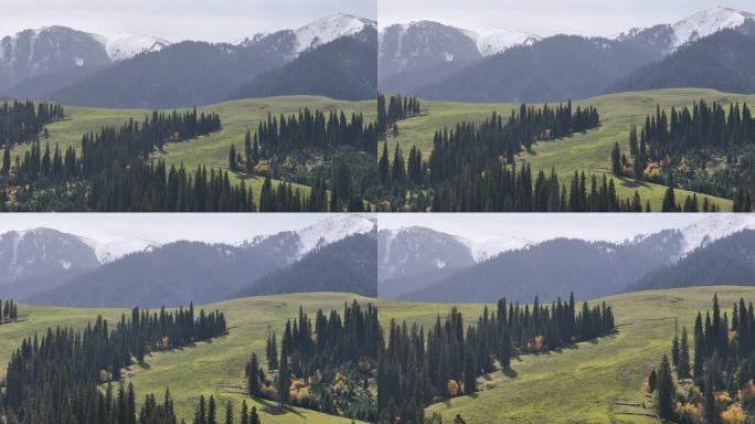 4K新疆那拉提景区航拍