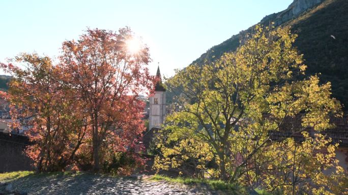 绿树成荫的村庄和大教堂的美景