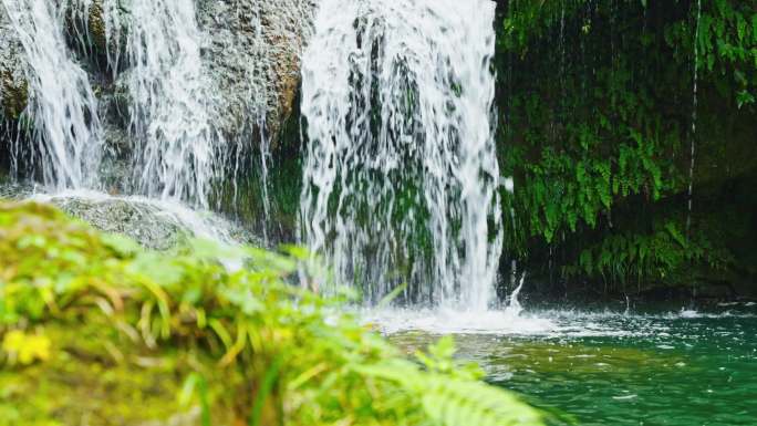 瀑布流水绿植自然植物