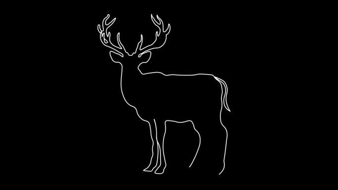鹿动物轮廓线绘制黑色背景与发光角角