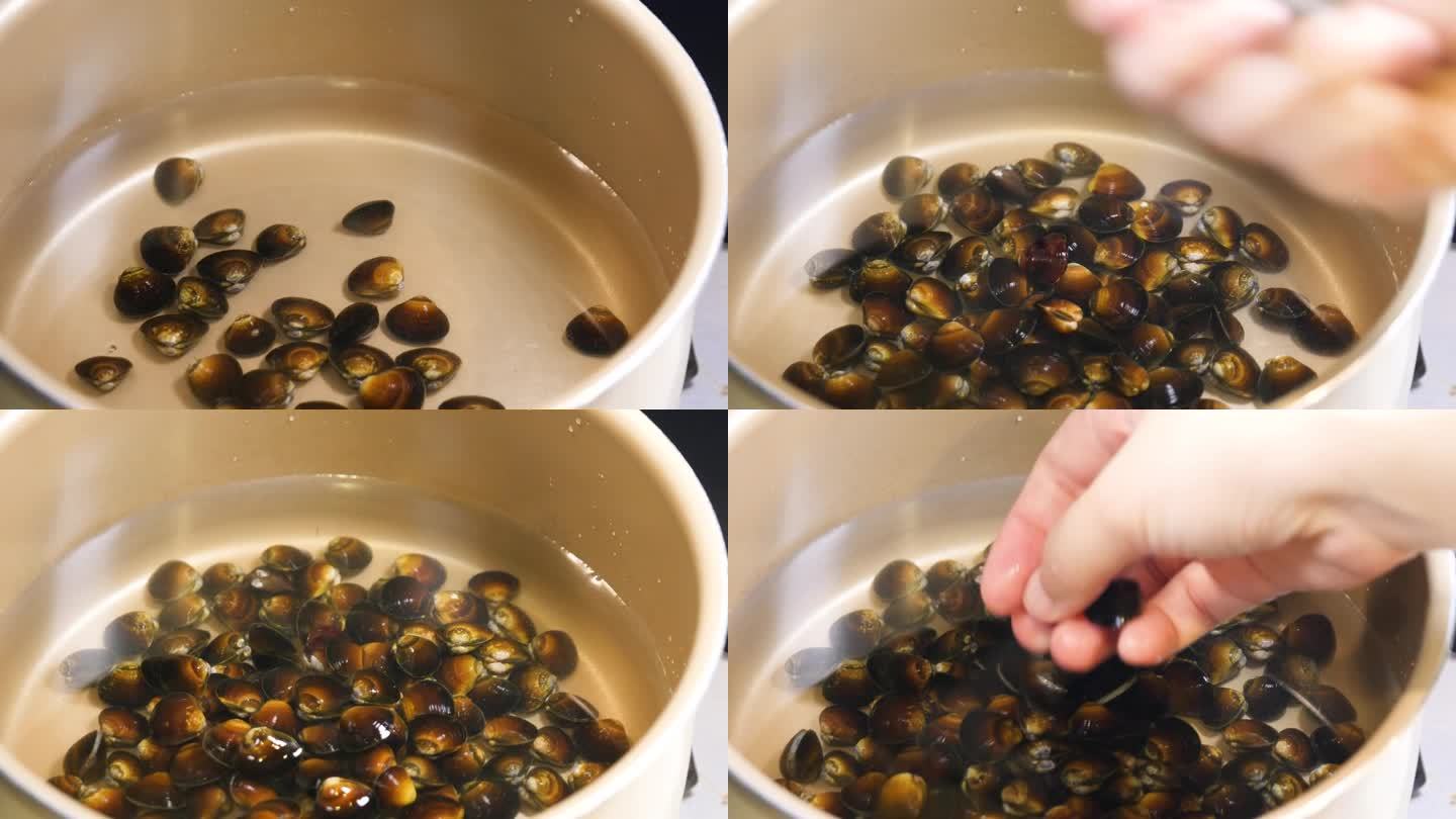 一段把石鸡蛤放进锅里做汤的视频。