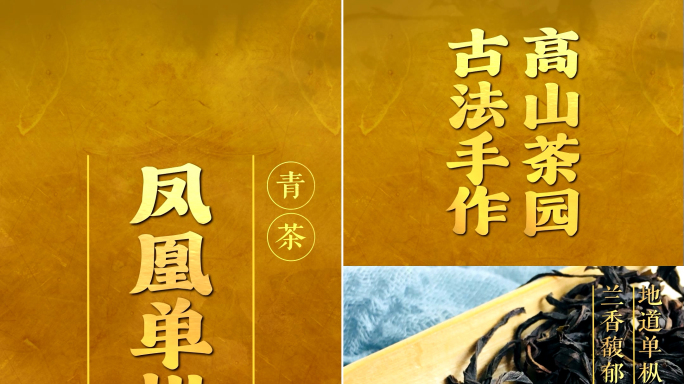 凤凰单丛茶叶文字竖屏视频