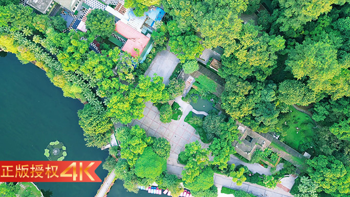 城市公园绿化森林城市宜居生活4K