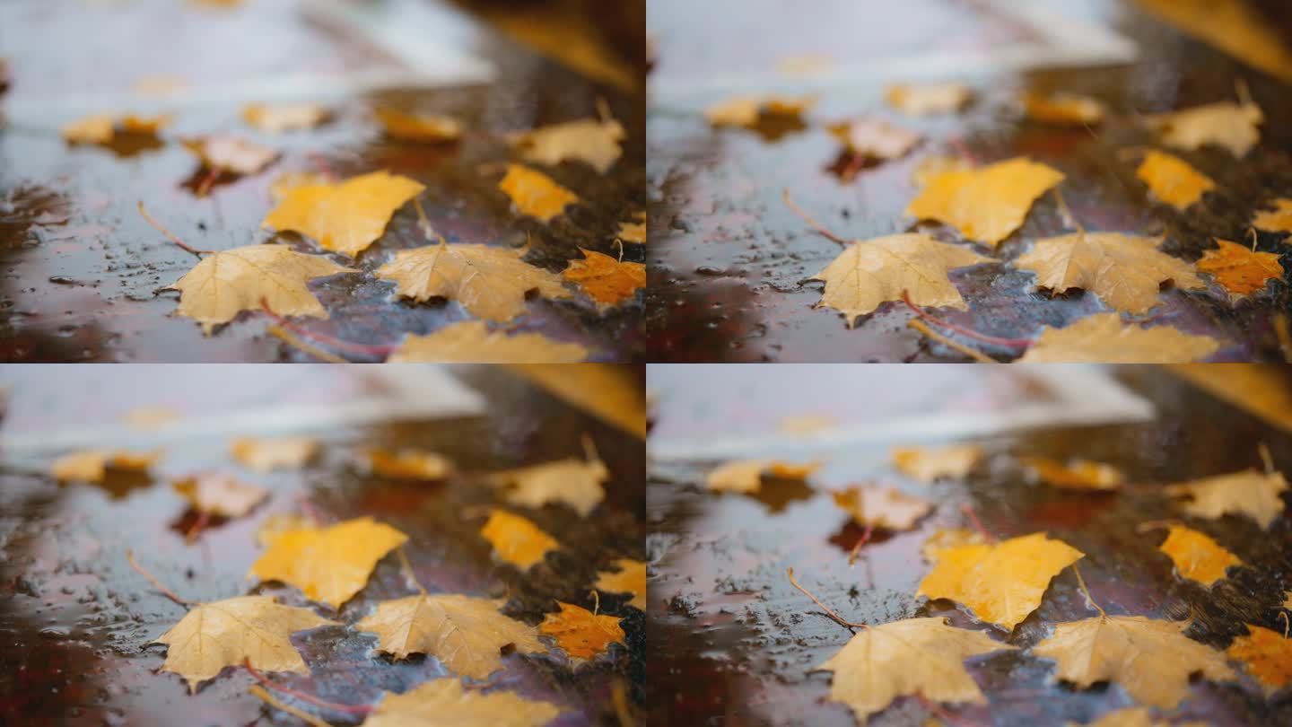 秋雨过后，人行道上堆满了湿落叶。雨滴与街道铺路板和彩色树叶模糊散景抽象4k素材