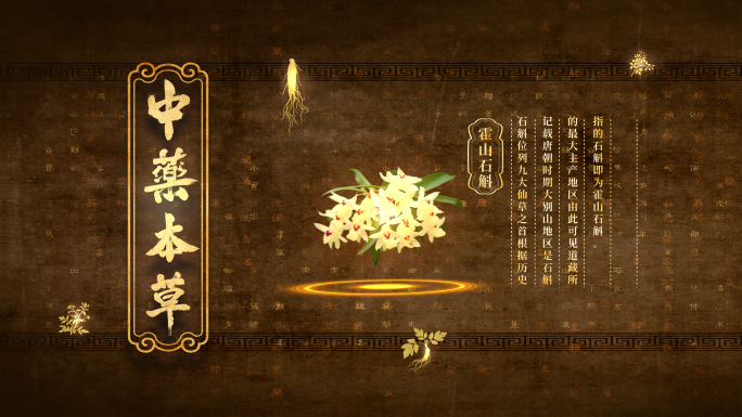 中医中药九大仙草展示AE模板