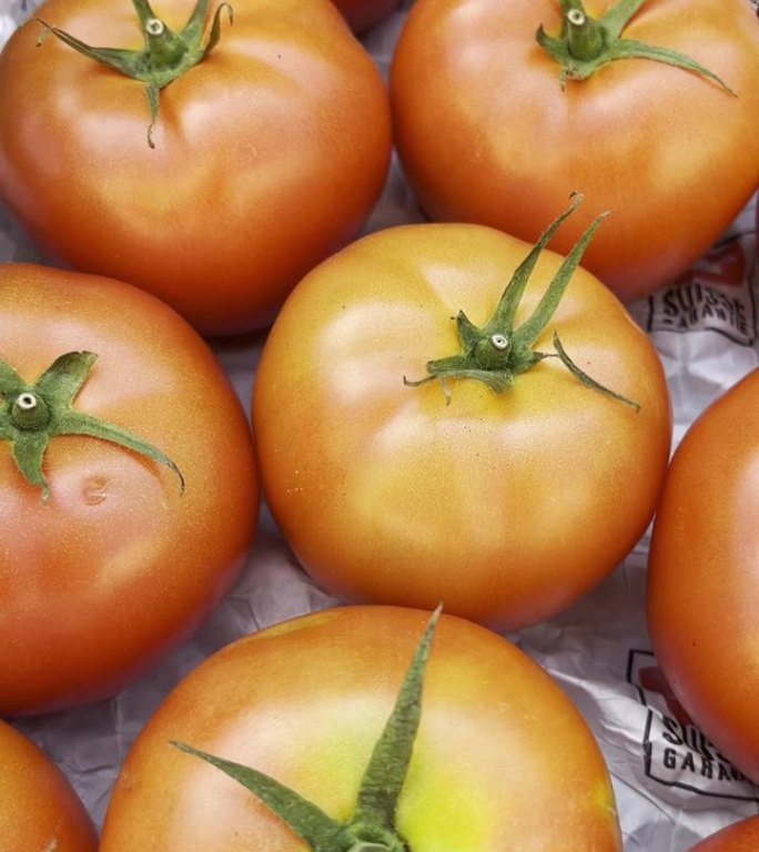 街头蔬果市场的精致瑞士品质认证番茄特写