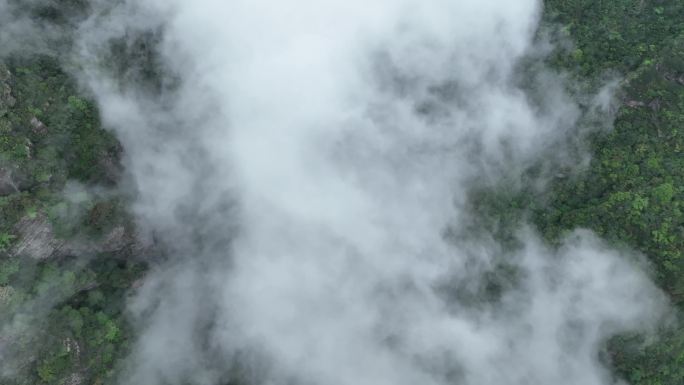 俯瞰云雾缭绕的山峰云海奇观仙境广西圣堂山