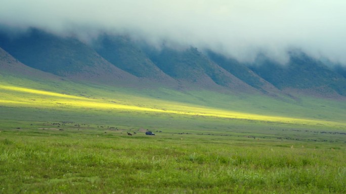 远观越野车行驶在坦桑尼亚风景优美的草地上。一条冒险的路线，探索广阔而风景如画的草原