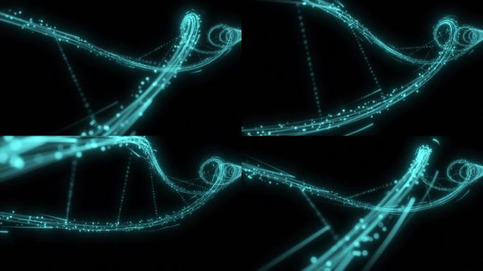 螺旋粒子DNA【工程+视频】