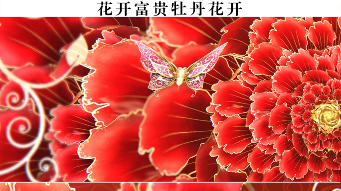 花开富贵红色春节牡丹