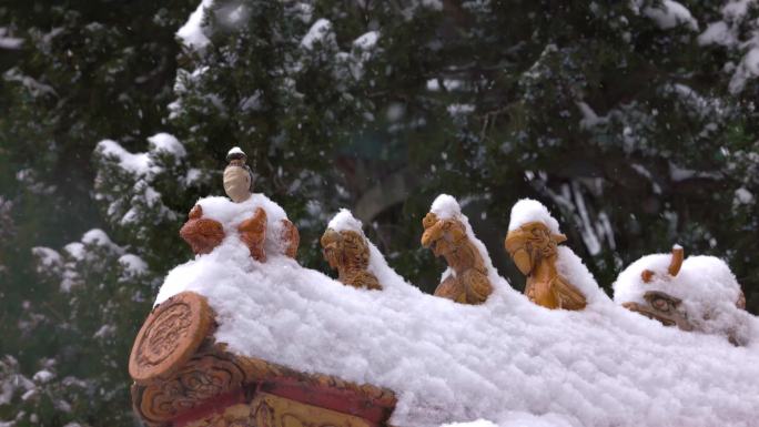 北京故宫紫禁城御花园屋脊兽雪景特写