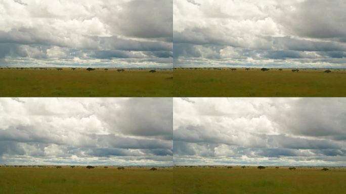 塞伦盖蒂国家公园广阔的草地景色。坦桑尼亚森林中田园诗般的草原，映衬着多云的天空