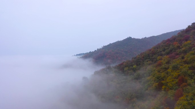 云海山川日出森林群山震撼大气云层翻滚云雾