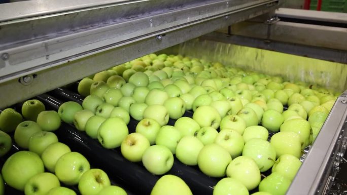 清洁水果包装仓库的新鲜苹果