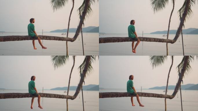 一个人坐在沙滩上的椰子树上