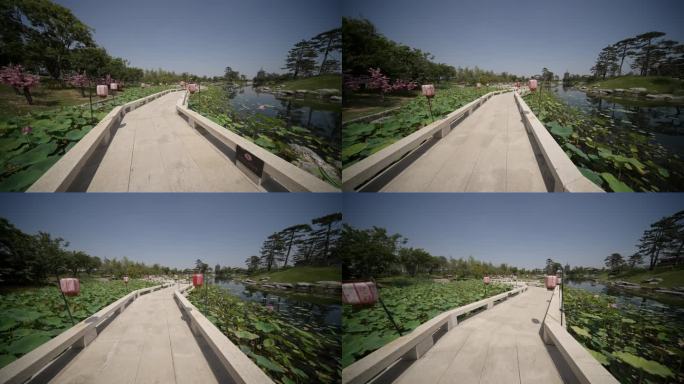河南洛阳九洲池景区大范围移动镜头4k