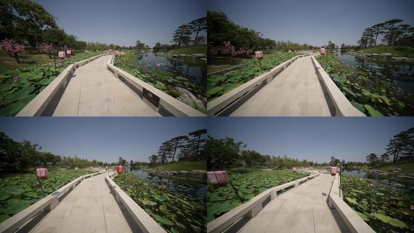 河南洛阳九洲池景区大范围移动镜头4k