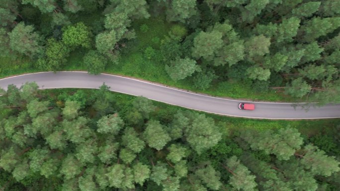 鸟瞰图夏日，红色汽车行驶在柏油路上，穿过广阔的森林。汽车在松林道路上行驶的航拍照片。穿越森林的公路旅