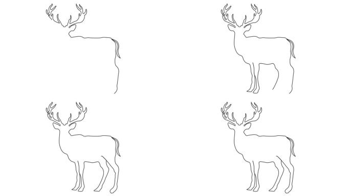 在白色背景上用单线动画绘制鹿的连续线动画