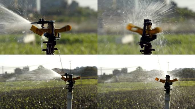 喷灌 农田现代化 灌溉 田野浇水 施肥
