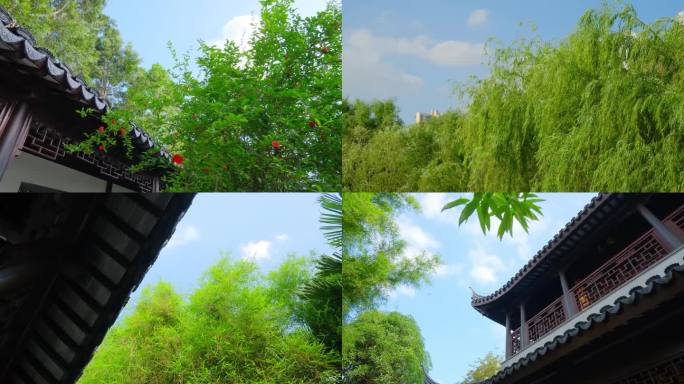 中式园林庭院空镜