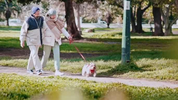 老年夫妇，狗，在夏天一起在公园散步，寻找爱情，浪漫或联系。草地，自然或花园，老人，女人和他们的宠物动