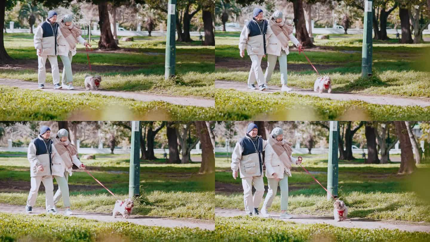 老年夫妇，狗，在夏天一起在公园散步，寻找爱情，浪漫或联系。草地，自然或花园，老人，女人和他们的宠物动