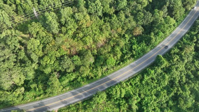 森林中间雾路鸟瞰图，道路曲线建设上山，雨林生态健康环境理念