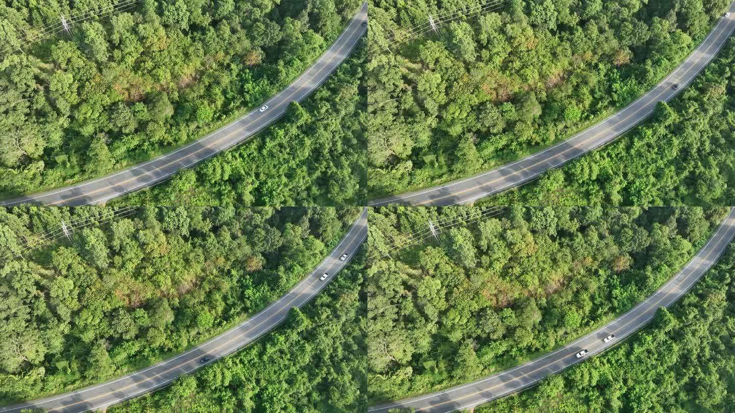 森林中间雾路鸟瞰图，道路曲线建设上山，雨林生态健康环境理念