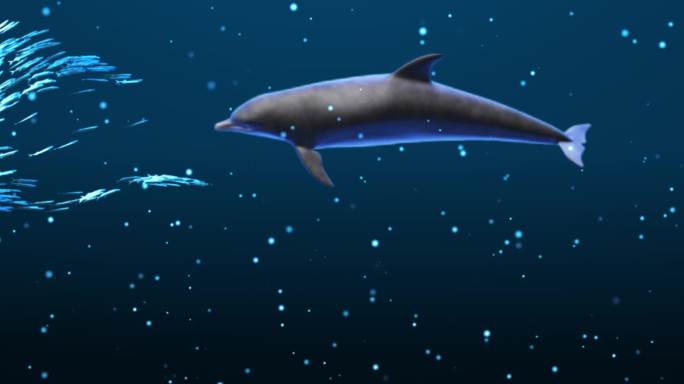 海洋 海洋生物  奇幻 鲸鱼