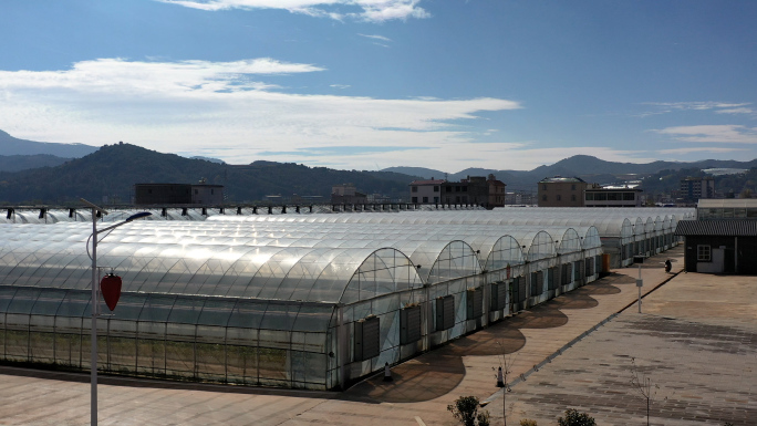 农业温室科学种植乡村振兴大棚蔬菜水果基地