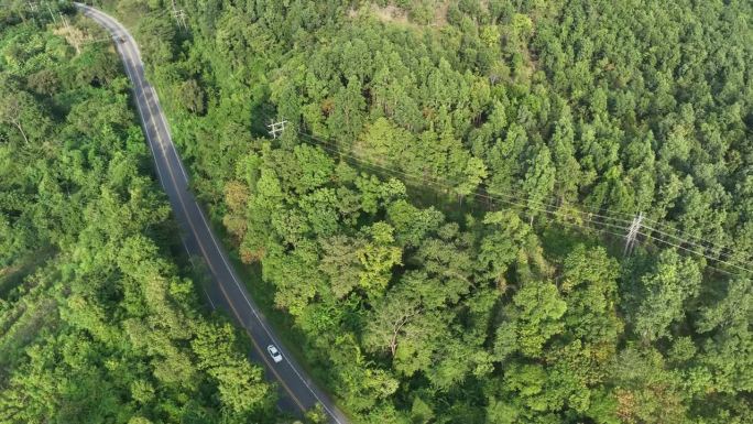 森林中间雾路鸟瞰图，道路曲线建设上山，雨林生态健康环境理念