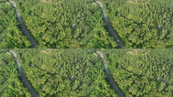 森林中间雾路鸟瞰图，道路曲线建设上山，雨林生态健康环境理念