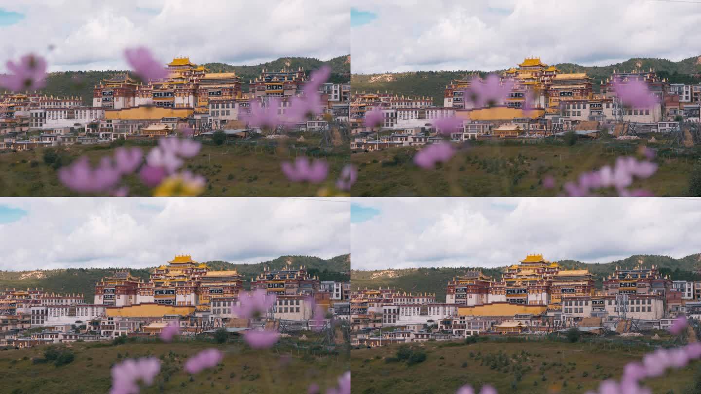 香格里拉松赞林寺延时摄影