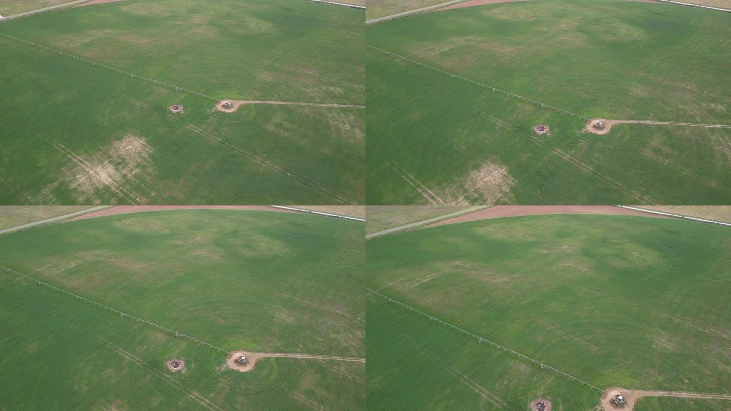 玉米田灌溉系统喷水鸟瞰图。