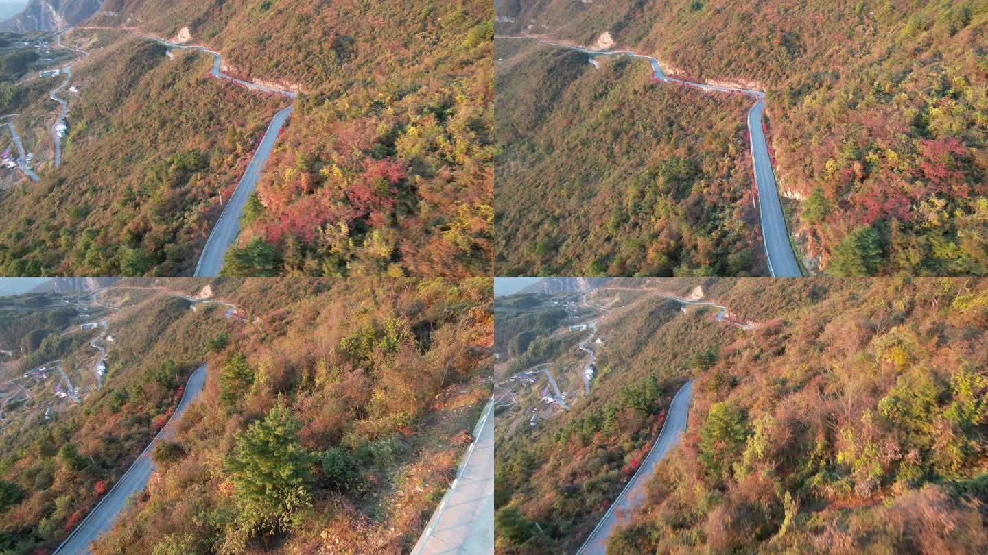 4K秋天山峰秋意盎然公路风景航拍视频