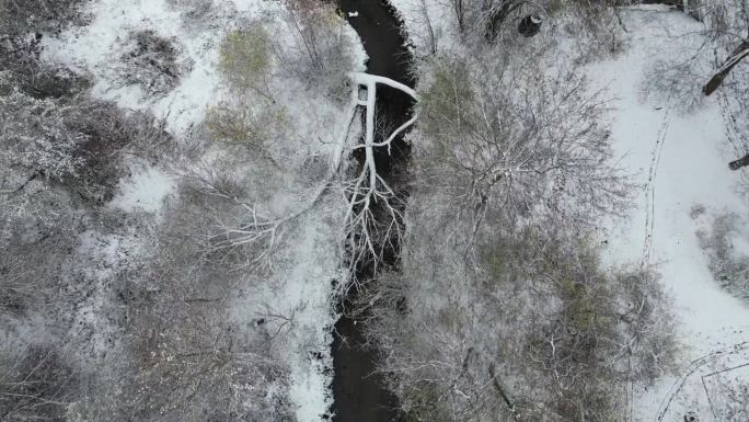 一条小溪和一条大河的汇合处，一棵树枝柳树倒在上面。在积雪融化的洪水期间，河道有堵塞的危险。白雪覆盖的