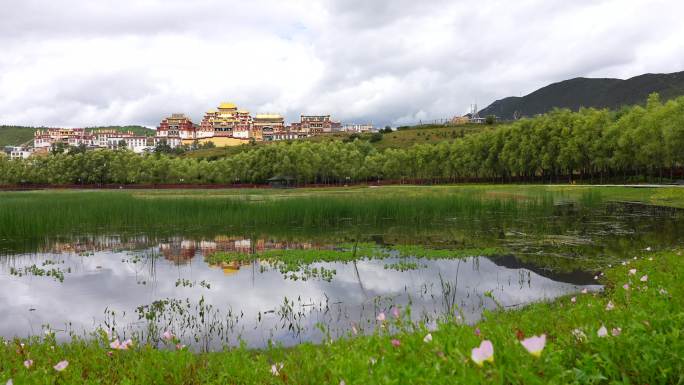 松赞林寺外景虚焦