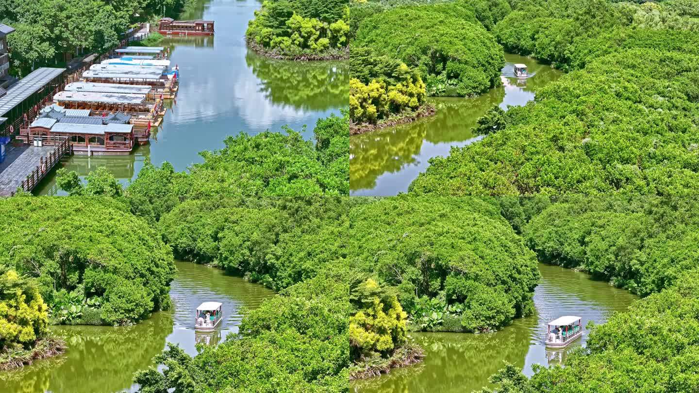 湿地公园 观光船